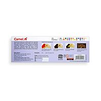 34 - Camel Oil Pastels Colour 25 Shades