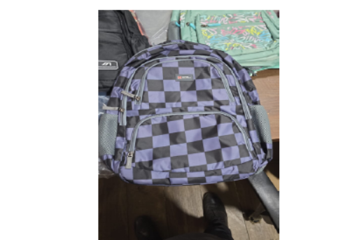 44 - School Bag ( Swiss Military )