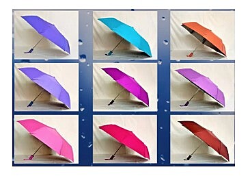 54 - Netra Umbrella Silver Deluxe ( COLOUR )